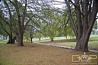 Toowoomba Trip - Festival of Flowers 2010