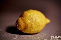 Miniature Lemon